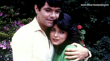 Juana Iris 1985 | Capítulos